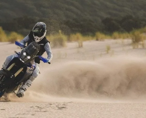 The Dark Horse 2.0