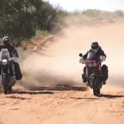 THE DESERT KING